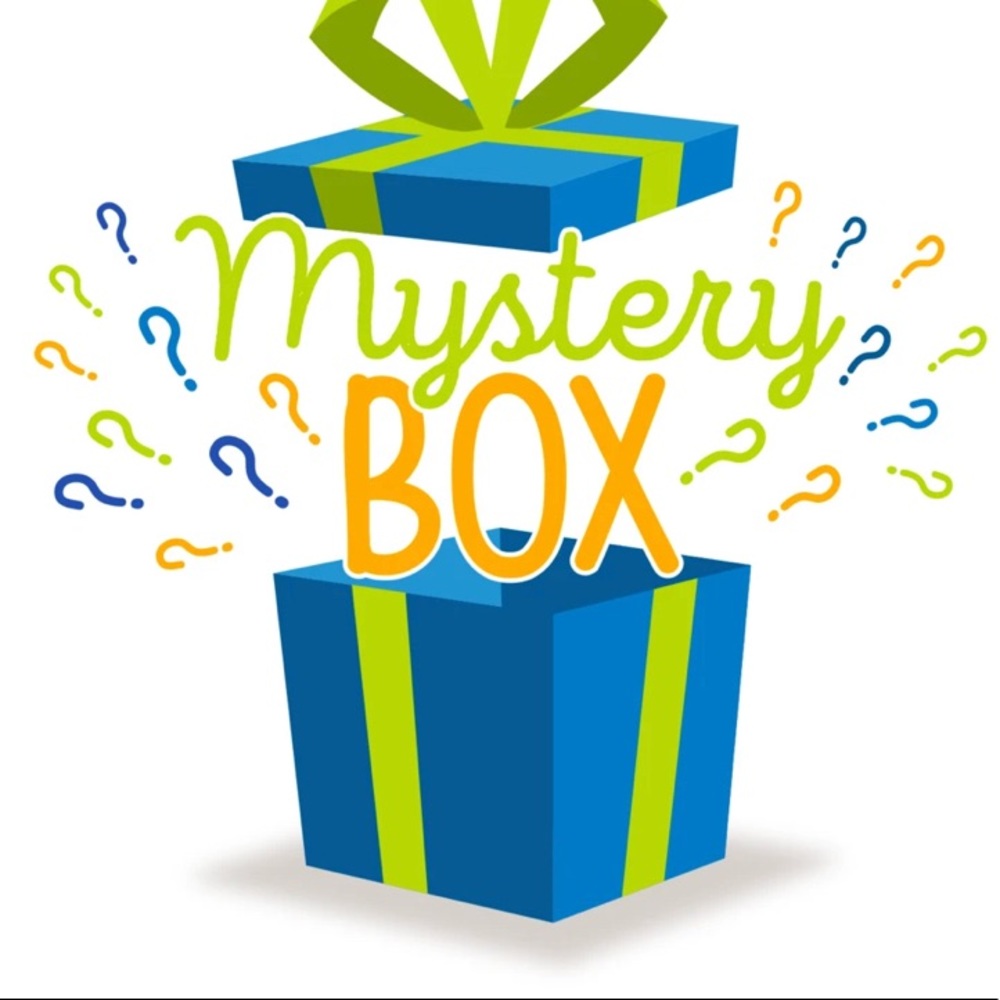 RESELLER PLUS SIZE MYSTERY BOX